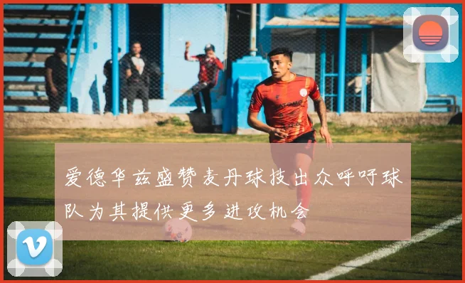 爱德华兹盛赞麦丹球技出众呼吁球队为其提供更多进攻机会